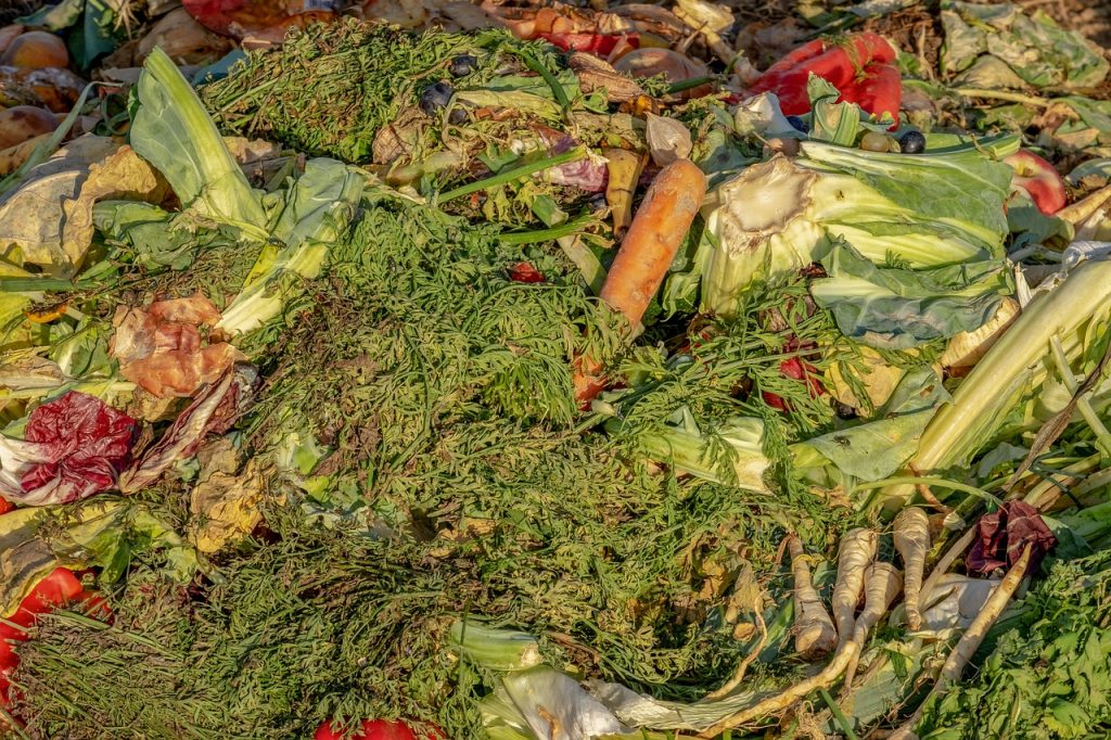 Pourquoi utiliser un lombricompost pour recycler vos déchets organiques
